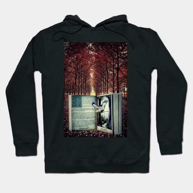 The Story Comes To Life Hoodie by JimDeFazioPhotography